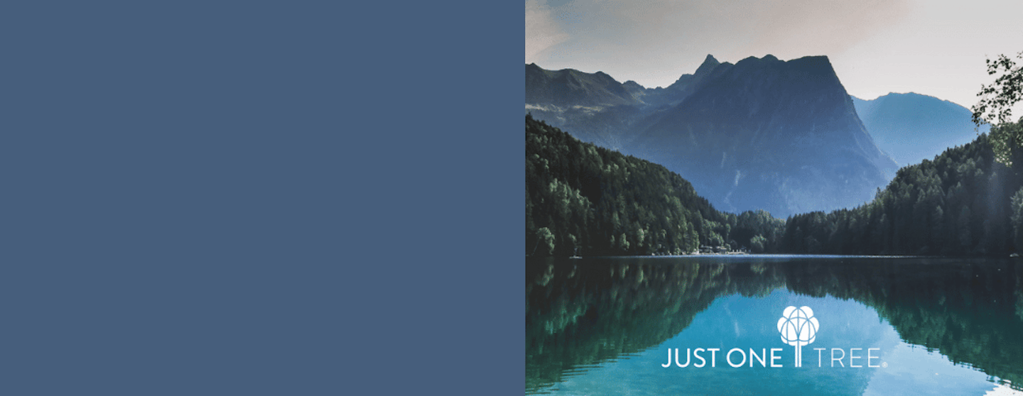 JUST ONE Tree banner